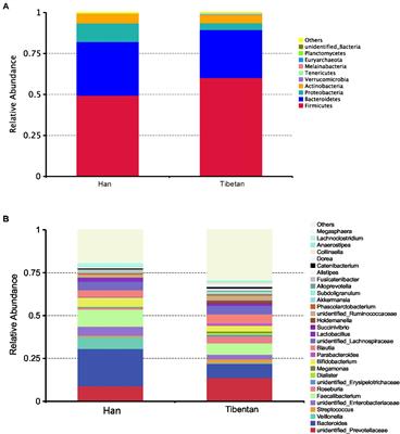 Correlations Between Intestinal Microbial Community and Hematological Profile in Native Tibetans and Han Immigrants